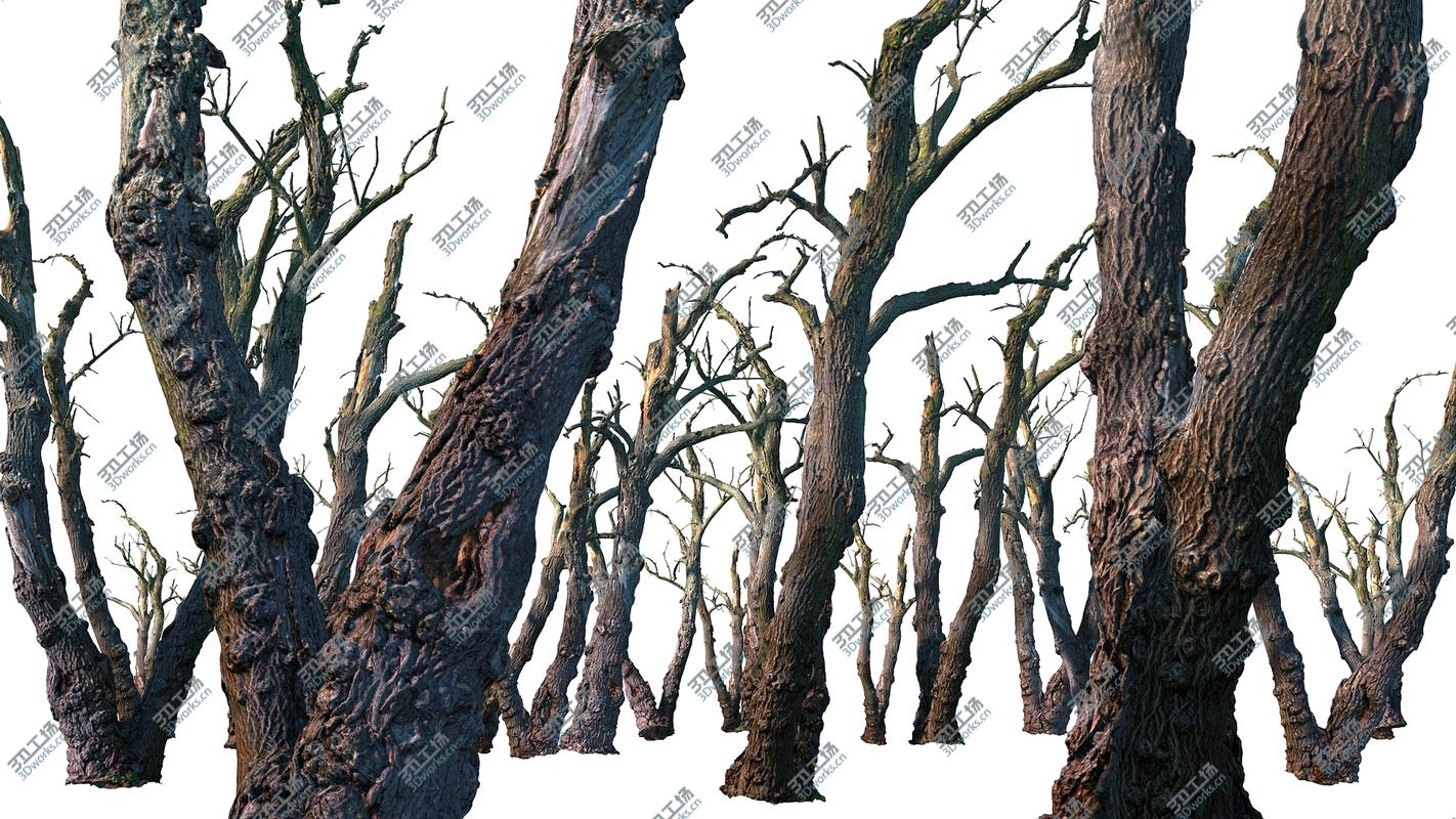 images/goods_img/202104023/Old Forest 2 ULTRA HD/2.jpg